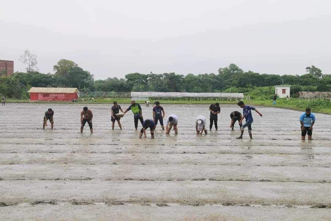 বীজতলা প্রস্তুত করছে বশেমুরকৃবির 